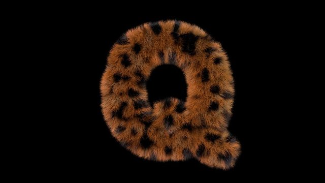 3d animated furry leopard typeface text with alpha channel  Q