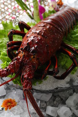 Delicious and fresh seafood with rich nutrition
