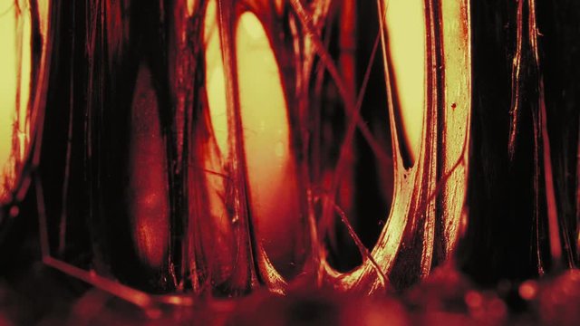 Stretching and rupture of ligaments and tendons during prolonged muscle load