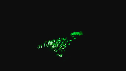Bioluminescent mushroom