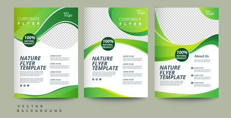 Vector eco flyer, poster, brochure, magazine cover template. Modern green leaf, environment design. - Vector