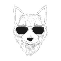 Portrait of a dog in the glasses in black and white color.