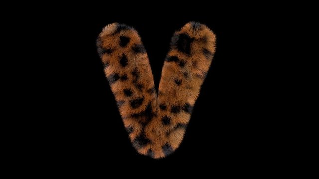 3d animated furry leopard typeface text with alpha channel  V