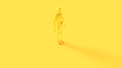 Yellow Ecorche System Anatomical Model 3 Quarter Front Right View 3d illustration 3d render