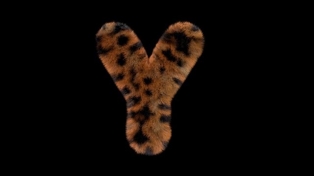 3d animated furry leopard typeface text with alpha channel Y