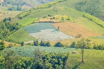 Obraz premium view of agriculture plantations on side hill with green nature background, Phop Phra District, Tak Province, western of Thailand.