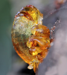 Interesting shape and beautiful colors of resin on wood