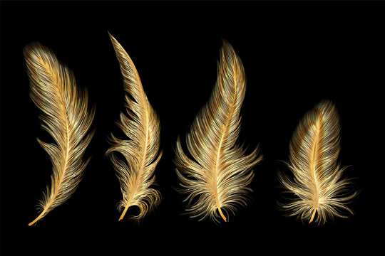 Gold Feathers Images – Browse 133,990 Stock Photos, Vectors, and Video