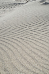ripples in the sand