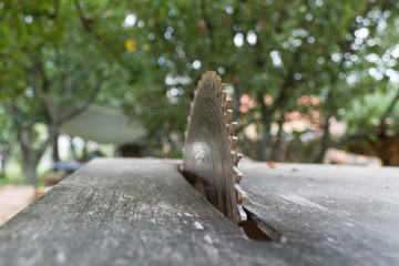 Close up of table circular saw blade in the garden with trees in background. Woodwork, Work hazards at home. Detail view of spinning disc blade. Dangerous serrated tablesaw