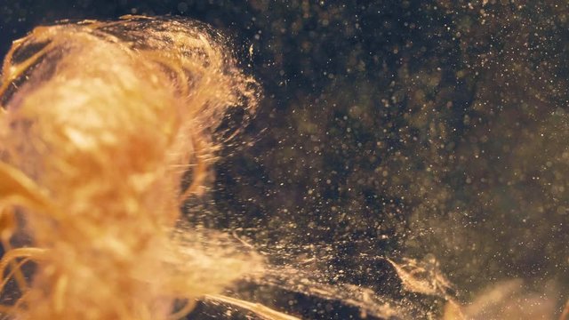 Golden ink particles flows in water as colorful chaos on the black background