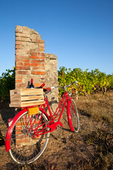 Vieux vélo rouge dans les vignes en France, Anjou.