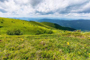 Fototapeta premium green meadows in mountains with clouds on the sky. wonderful summer nature landscape of carpathians. great travel scenery