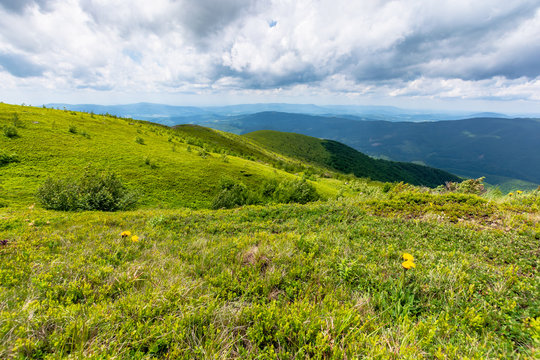 green meadows in mountains with clouds on the sky. wonderful summer nature landscape of carpathians. great travel scenery