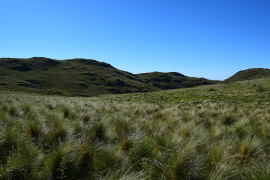 camino al mojon