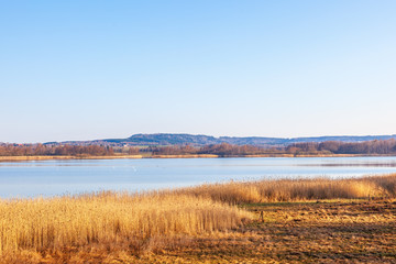 View of lake and landscape with reeds in spring