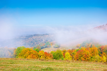 Fototapeta na wymiar foggy mountain scenery in autumn. clouds rising above the rolling hills on a sunny morning. wonderful landscape with trees in fall foliage and grassy meadows. spectacular weather