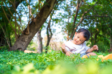 Adorable 1-2 year baby boy playing on green grass sunny day summer tropical park forest