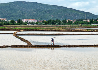 Peasant working in a rice field 2