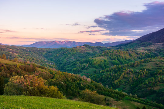 rural landscape in mountains at dusk. amazing view of carpathian countryside with fields and trees on rolling hills. glowing purple clouds on the sky. calm weather in springtime