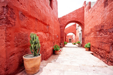 Fototapeta na wymiar Arches on the streets in the monastery of Santa Catalina, Arequipa, Peru, cacti and geraniums in pots.