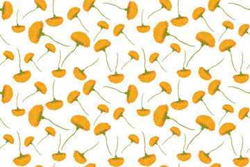 Seamless pattern of yellow flowers of dandelion isolated on white background. Watercolor hand painting. Spring floral backdrop with wildflowers for fabric print.