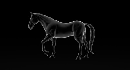 black horse on black background 3d illustration