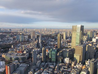 東京：森ビル展望台からの景色