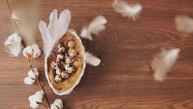 Feathers falling on Easter eggs in nest on wooden table. Easter holiday decorations, Easter concept background.