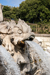 Fototapeta na wymiar Fountain of the dolphins, details, Caserta Royal Palace and Park, Italy