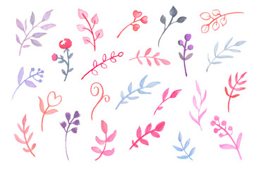 Pink blue floral element on white background. Handdrawn watercolor flower and leaf clipart. Spring foliage set