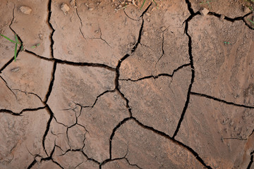 Drought on the surface of tobacco field, Nan, Thailand.