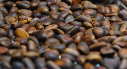 pine nuts
