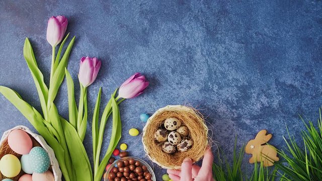 Hand putting down basket with Easter eggs next to tulips on deep blue background. Easter holiday decorations, Easter concept background.