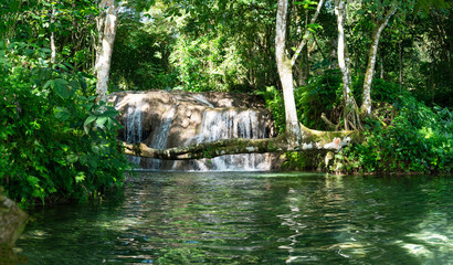Wild River Fall Samana