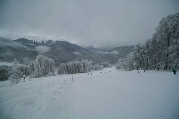 Snow-covered ski slopes in the woods, Sochi, Russia.