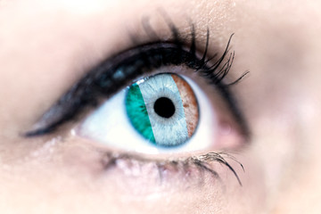 Flag of Ireland reflects in a woman blue eye - election, sport, hope, young, generation, pride, dream, emotion, independance	
