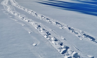 Spuren im Schnee