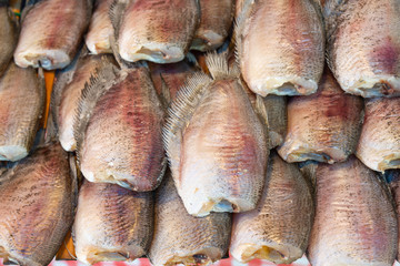 Snake Skin Gourami (Trichogaster pectoralis) dried.