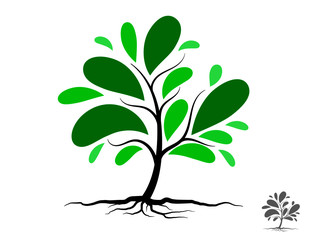 Trees with green leaves look beautiful and refreshing.Tree and roots LOGO style.