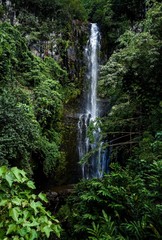 Waterfall through the Road to Hana