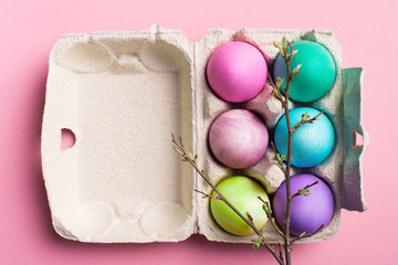 Easter pink flat lay with colorful eggs in carton and branch with leaves