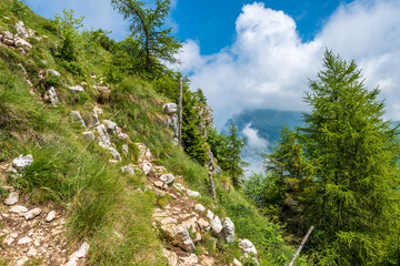 Obraz premium Fragment of a nice mountain view from the trail at Monte Baldo in Italy.