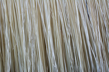 Line texture of paint brush with macro lens.
