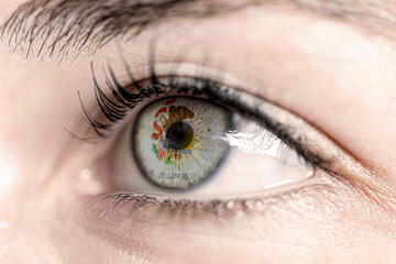 Obraz premium Flaga stanu Illinois w Stanach Zjednoczonych Ameryki odbija się w człowieku brązowe oko - wybory, sport, nadzieja, młode, pokolenie, futbol amerykański, kosz