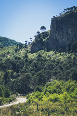 Los Andes, Villa Pehuenia