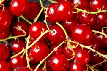 Ripe red currants, place for text, top view.