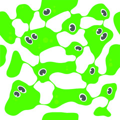 bacteria