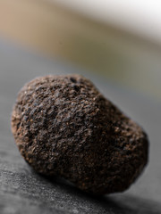 La trufa negra (Tuber melanosporum), conocida también como trufa de Périgord, es muy apreciada en la gastronomía por su aroma y es de gran valor económico. 
