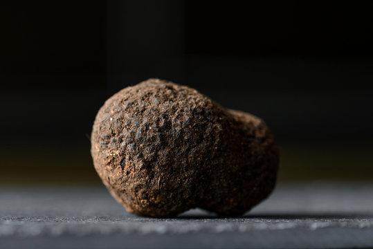La trufa negra (Tuber melanosporum), conocida tambi&eacute;n como trufa de P&eacute;rigord, es muy apreciada en la gastronom&iacute;a por su aroma y es de gran valor econ&oacute;mico. 